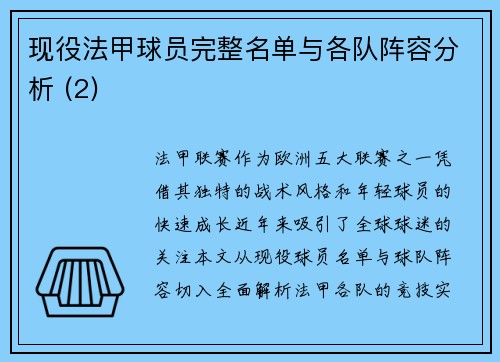 现役法甲球员完整名单与各队阵容分析 (2)